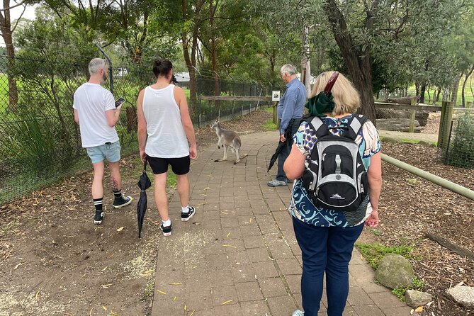 Blue Mountains Wildlife Full-Day Sights and Hiking from Sydney - Price and value: what you’re paying for beyond the view