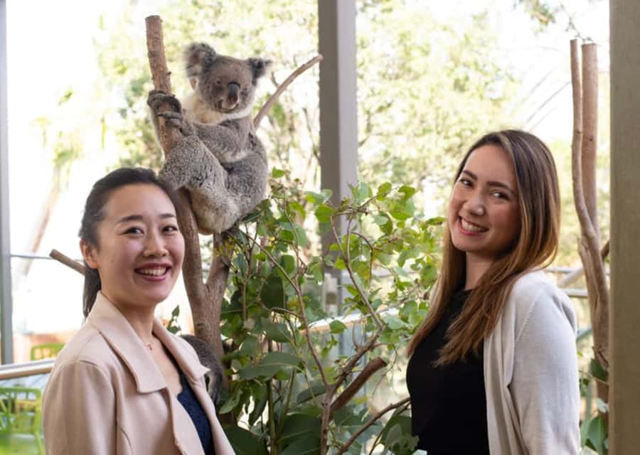 Breakfast with Koalas at WILD LIFE Zoo Darling Harbour - Why this koala breakfast feels special at WILD LIFE Darling Harbour