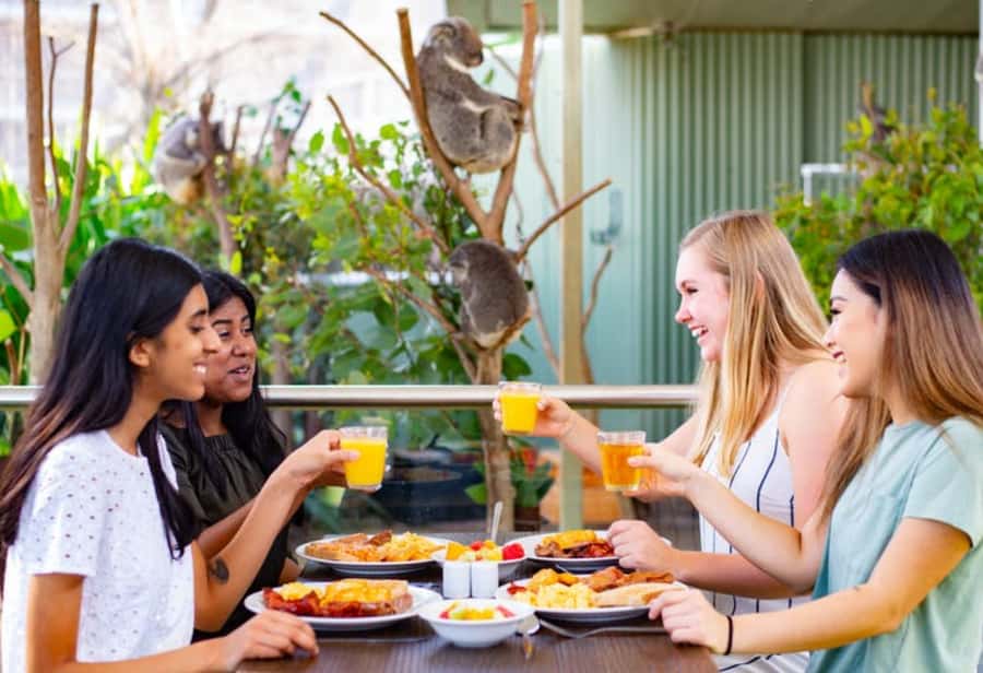 Breakfast with Koalas at WILD LIFE Zoo Darling Harbour - The early check-in: meeting at 7:15am without stress