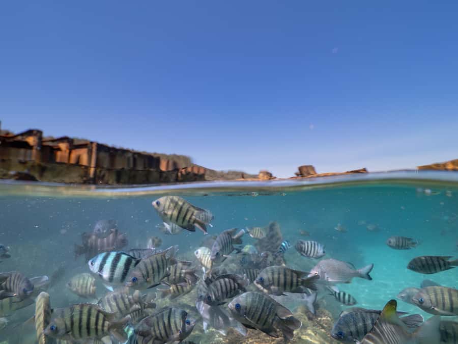 Brisbane: Moreton Island all inclusive Snorkeling Tour - 8 Hours on Moreton Island: What You’re Really Buying for $140