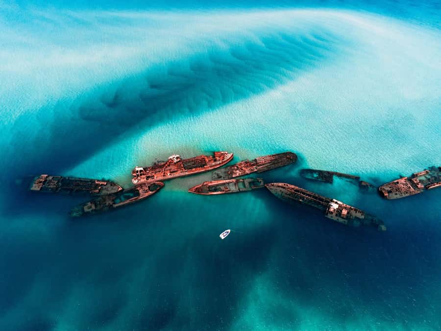 Brisbane: Moreton Island all inclusive Snorkeling Tour - Snorkeling the Tangalooma Wrecks: Rusty Ships, Real Marine Life