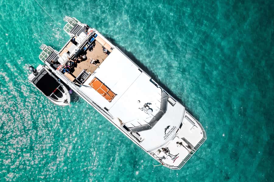 Brisbane: Moreton Island all inclusive Snorkeling Tour - Lunch, Afternoon Tea, and That Food Rhythm That Saves the Day