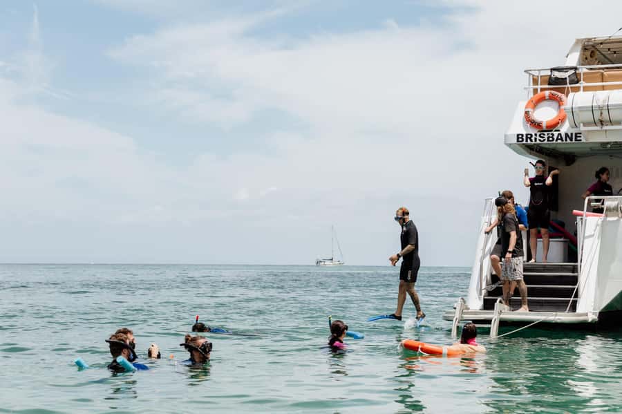 Brisbane: Moreton Island all inclusive Snorkeling Tour - The Eco-Marine Safari: Dolphins and Turtles from the Comfort of the Boat