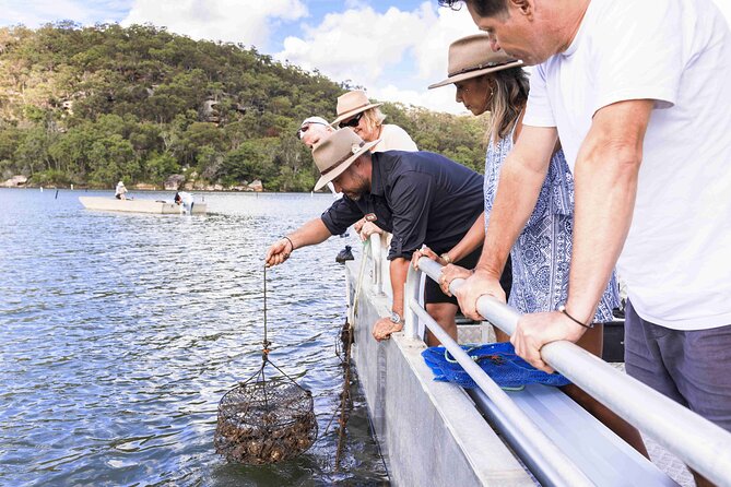 Broken Bay Pearl & Oyster Farm Tours - The Shellar Door on the Hawkesbury River: what the setting does for your visit