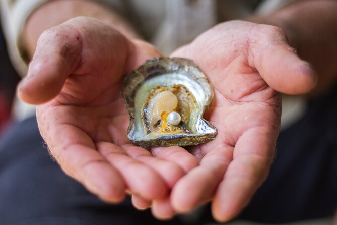 Broken Bay Pearl & Oyster Farm Tours - Price and timing: what $29 buys you for 1–4 hours