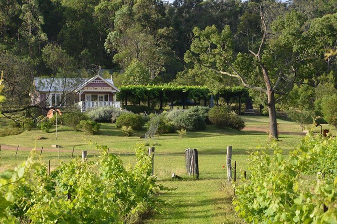 Chef-Led Hunter Valley Gourmet Food and Wine Day Tour from Sydney - Sydney Fish Market to Hunter Valley: how the day earns its keep