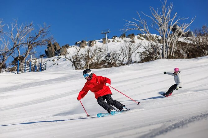 Day Trip To Snowy Mountains From Sydney - Thredbo Village: 4 hours of mountains, chairlift timing, and animals
