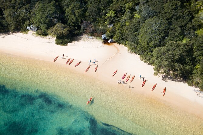 Double Kayak Hire - 4 Hours - Meeting at Manly Kayak Centre: where to go and how it feels