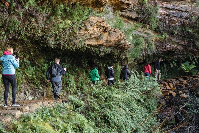 Exclusive Blue Mountains Wildlife and Bushwalk Tour From Sydney - From 7:00 am pickup to a UNESCO day in the Mountains