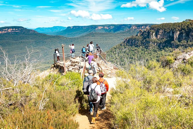 Exclusive Blue Mountains Wildlife and Bushwalk Tour From Sydney - Leura (or a similar village stop) for lunch: where your time really goes