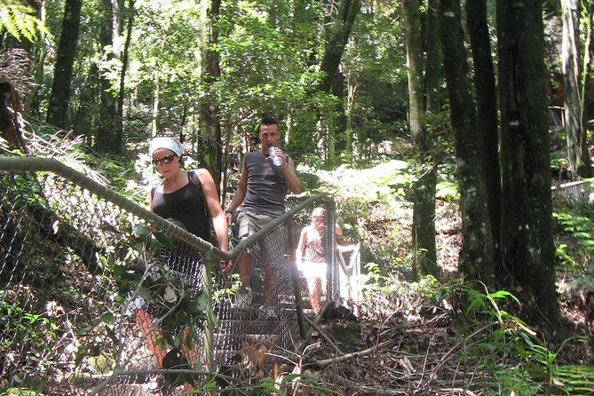 Exclusive Blue Mountains Wildlife and Bushwalk Tour From Sydney - Guides who shape the day: stories, culture, and pacing