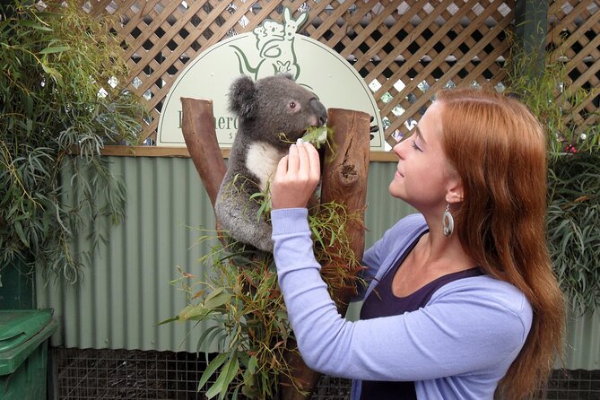 Featherdale Wildlife Park with Exclusive Private Transfers - Koala and Kangaroo Encounters: What’s Included and What Might Be Extra