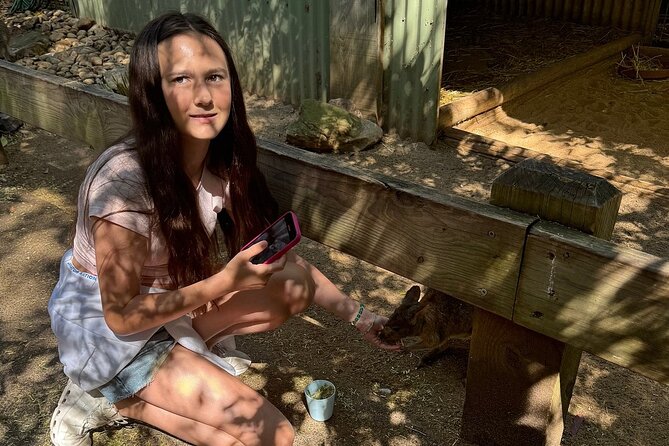 Featherdale Wildlife Park with Exclusive Private Transfers - The Guide Makes It Practical: Photos, Flow, and Little Extras