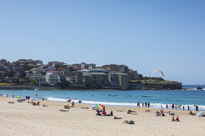First Timer Sydney Sightseeing & Bondi Beach 1/2 Day Tour - Bondi Beach: your chance to slow down and feel the coastline