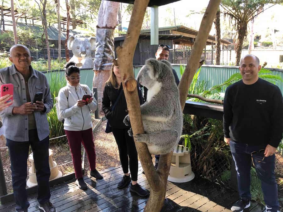 From Haymarket: Hunter Valley Wine and Wildlife Day Trip - Key points worth knowing before you go