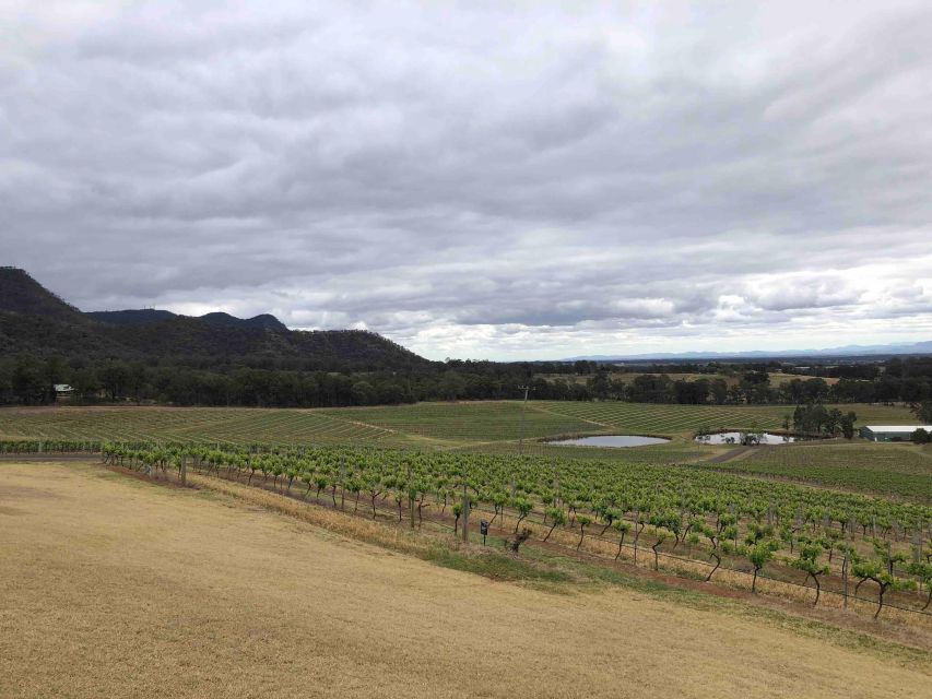 From Haymarket: Hunter Valley Wine and Wildlife Day Trip - Who should book this Hunter Valley wine and wildlife trip