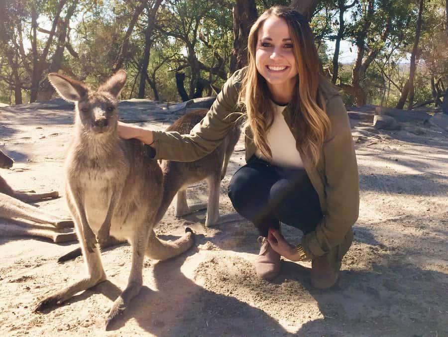 From Haymarket: Hunter Valley Wine and Wildlife Day Trip - A Hunter Valley day trip built for koalas and wine country