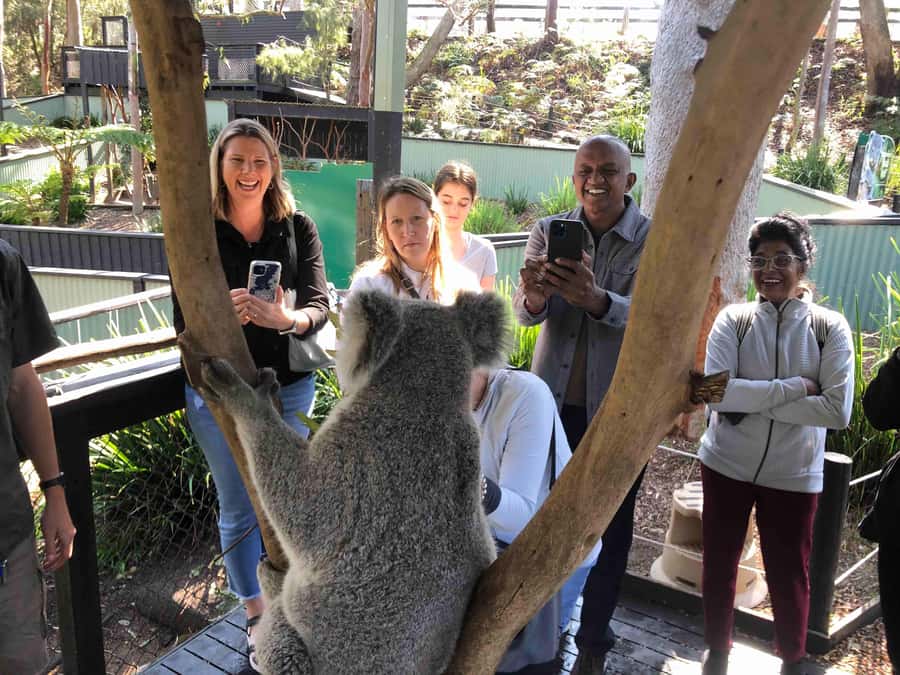 From Haymarket: Hunter Valley Wine and Wildlife Day Trip - Chocolate and cheese tasting: the smart warm-up before wine