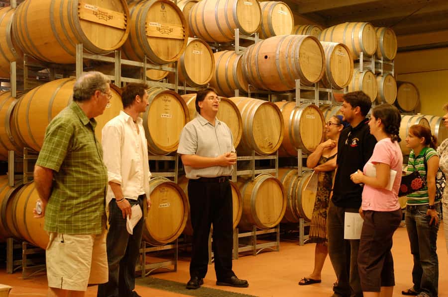 From Sydney: All Inclusive Boutique Hunter Valley Wine Tour - Value for $166: When This Works and When It Might Not