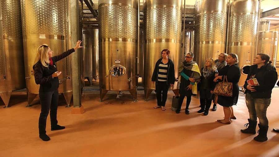 From Sydney: Award-Winning Hunter Valley Wine & Cheese Tour - Your guided cheese tasting at Hunter Valley Cheese Company