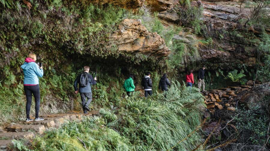 From Sydney: Blue Mountains Bushwalks & Featherdale Tour - Pickup and Timing: The Part That Makes or Breaks Your Day