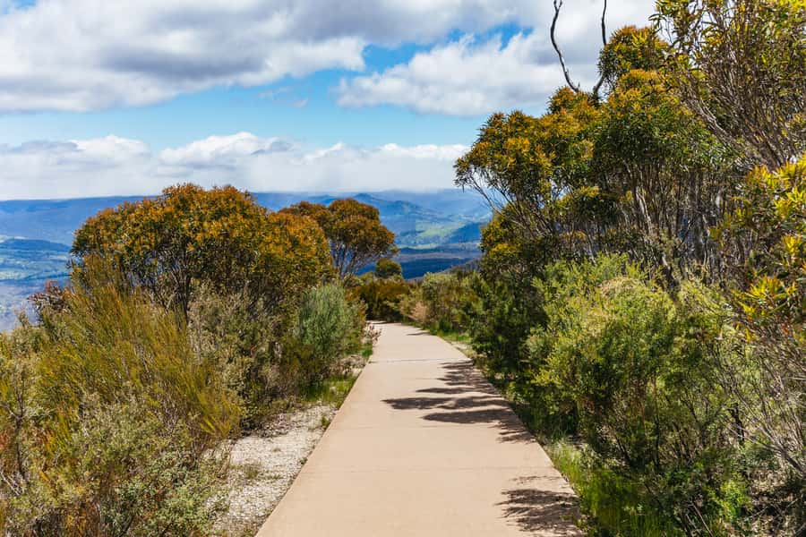 From Sydney: Blue Mountains Full-Day Trip - Price and value: what $148 buys beyond the obvious sights