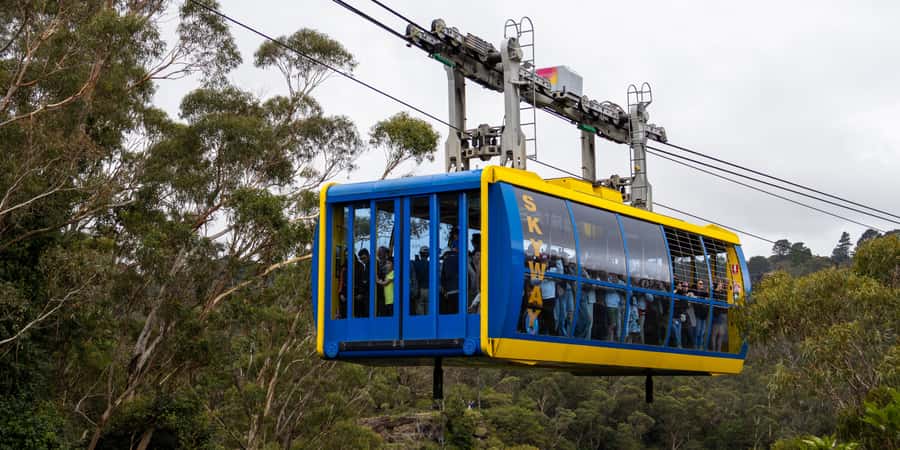 From Sydney: Blue Mountains, Scenic Railway, & Sydney Zoo - From Sydney Pickup to Mountain Views: The Rhythm of the Day
