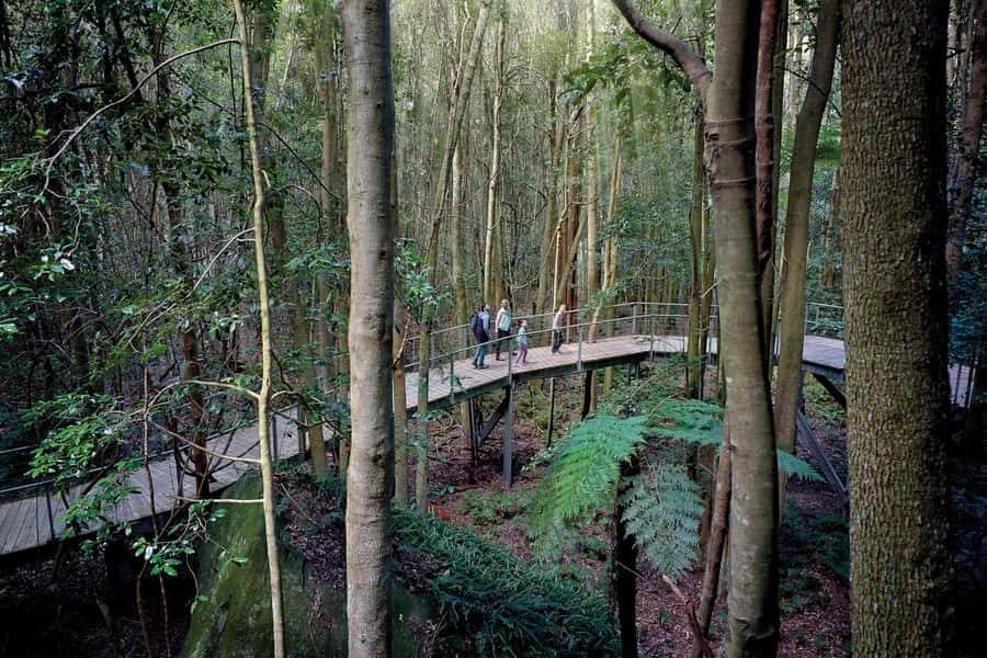 From Sydney: Blue Mountains, Scenic World, Zoo, & Ferry Ride - Key Highlights You’ll Feel Immediately