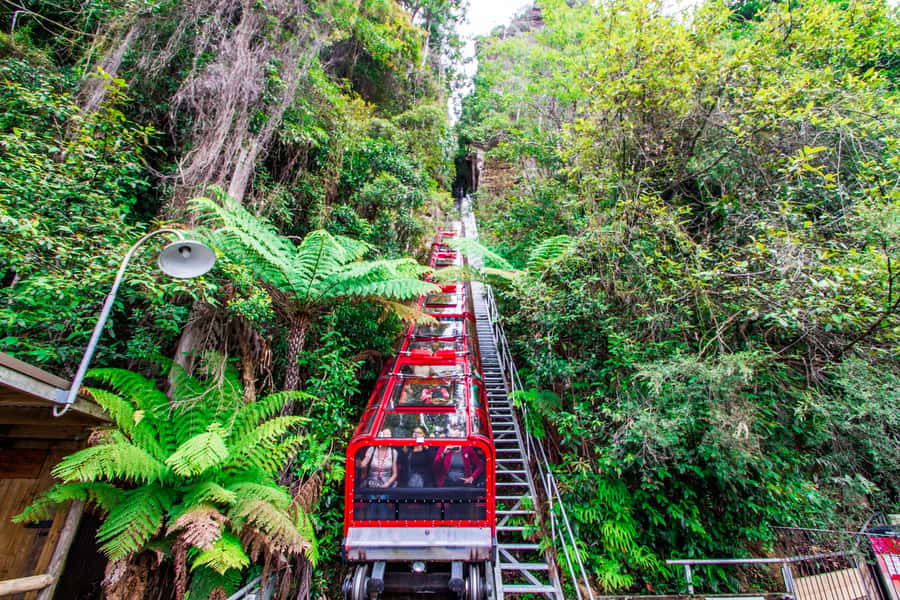 From Sydney: Blue Mountains, Scenic World, Zoo, & Ferry Ride - Echo Point and the Three Sisters: Your Best First Look