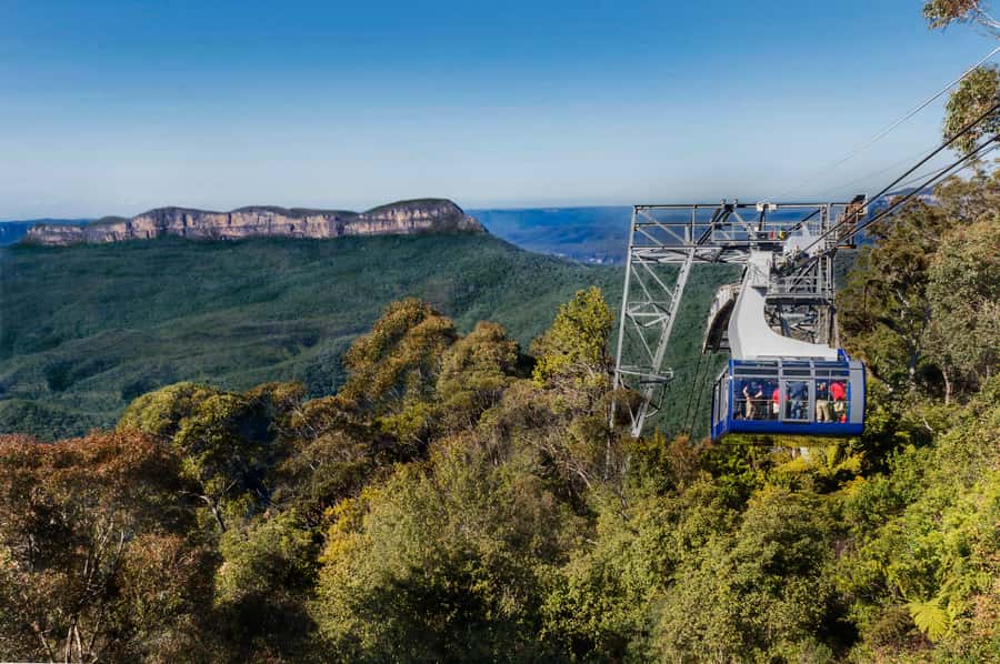 From Sydney: Blue Mountains, Scenic World, Zoo, & Ferry Ride - Sydney Zoo: Koalas, Wombats, Kangaroos, and More Wildlife Time