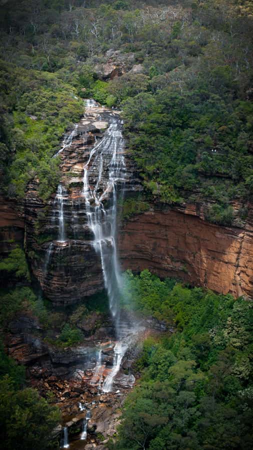 From Sydney: Blue Mountains, Sydney Zoo & Walking Tour - Katoomba Falls Walks, Vera’s Grotto, and Witches Leap Area