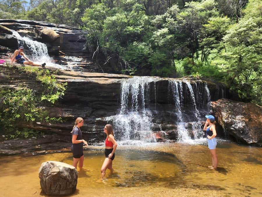 From Sydney: Blue Mountains Tour with Waterfall Walk & Lunch - Who this tour suits best