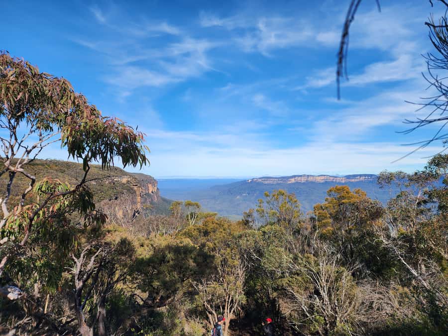 From Sydney: Blue Mountains Tour with Waterfall Walk & Lunch - Wentworth Falls: the 90-minute waterfall walk (and the step-choice reality)