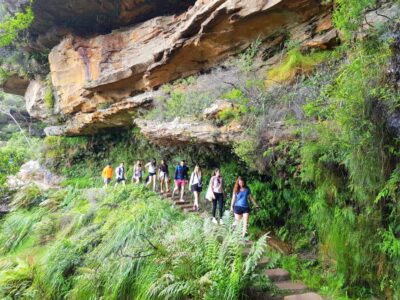 From Sydney: Blue Mountains Tour with Waterfall Walk & Lunch - Sydney meeting point and how to get there without stress