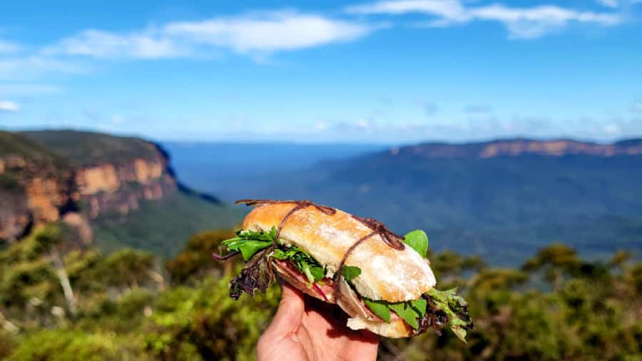 From Sydney: Blue Mountains Tour with Waterfall Walk & Lunch - Lunch and snacks: simple, filling, and actually practical