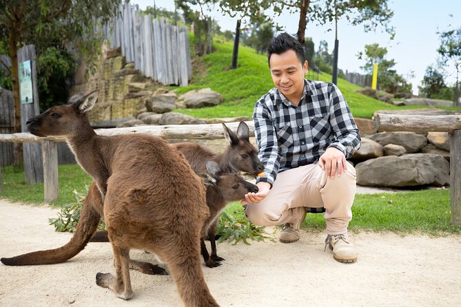 From Sydney: Blue Mountains with Zoo, Koala Photo & Scenic World - Leura Village Lunch Break: Where You Can Eat Your Own Way