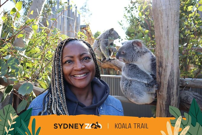 From Sydney: Blue Mountains with Zoo, Koala Photo & Scenic World - Scenic World Unlimited Pass: Railway, Skyway, and Cableway