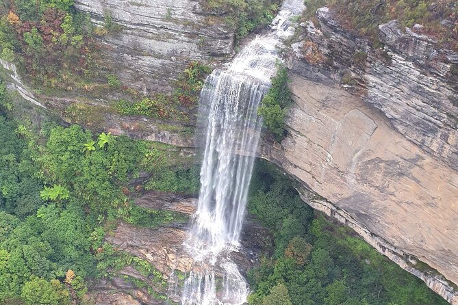 From Sydney: Blue Mountains with Zoo, Koala Photo & Scenic World - Price and Value: What You Really Pay For at $149.90