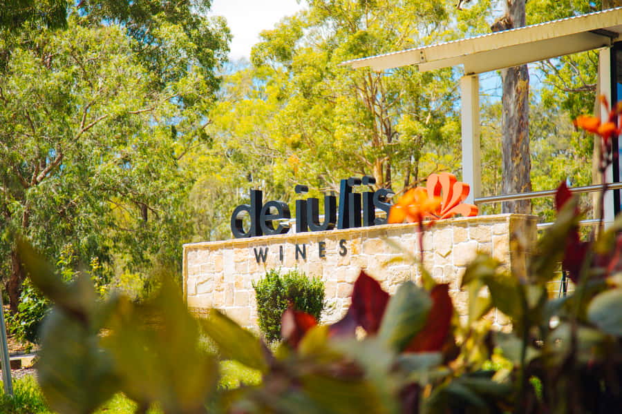 From Sydney: Full-Day Hunter Valley Tour w/ Tastings & Lunch - The behind-the-scenes production tour: the part I’d book for
