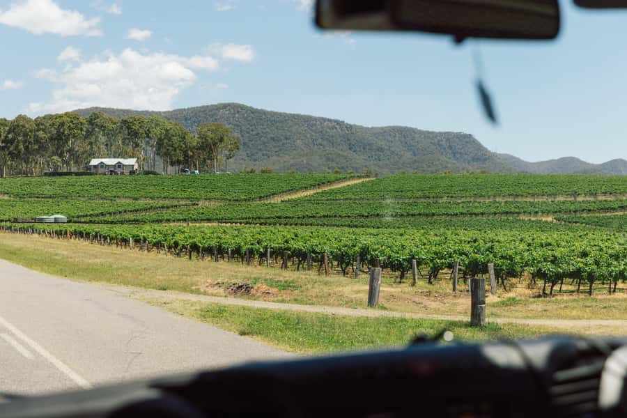 From Sydney: Full-Day Hunter Valley Wine Tour & Lunch - A Hunter Valley winetasting day that feels friendly, not formal