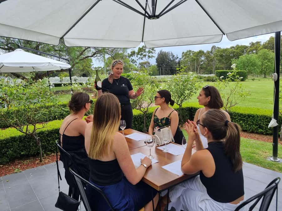 From Sydney: Hunter Valley Wine, Gin & Food Tastings Tour - Price and Value: What $159 Gets You