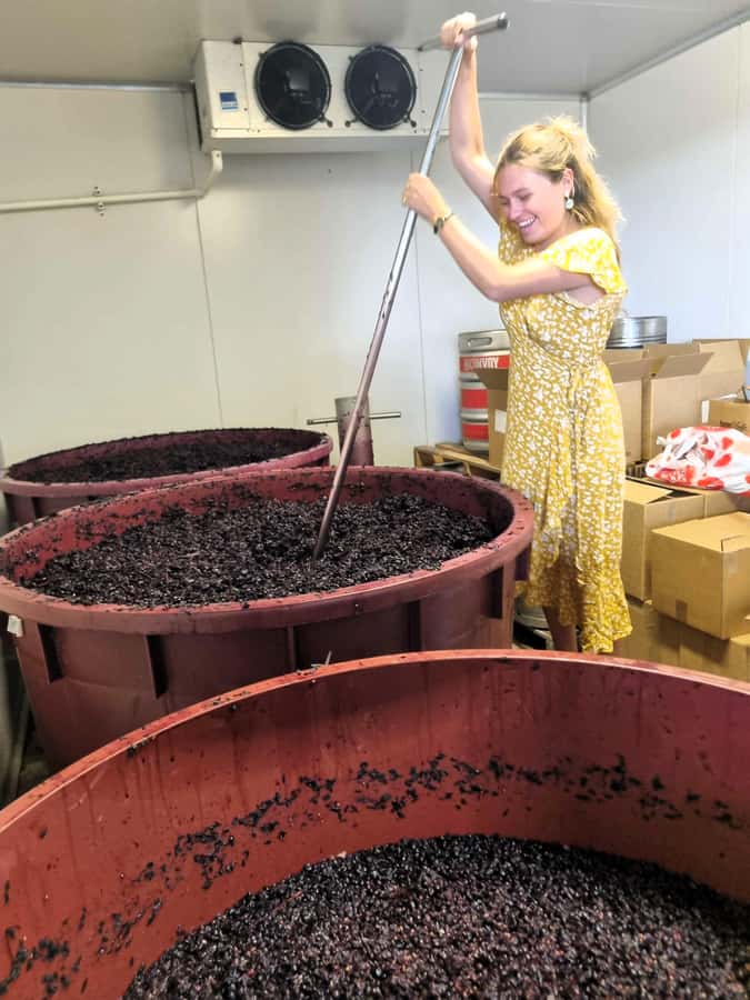 From Sydney: Hunter Valley Wine, Gin & Food Tastings Tour - Hunter Valley in One Day: Why This Plan Works