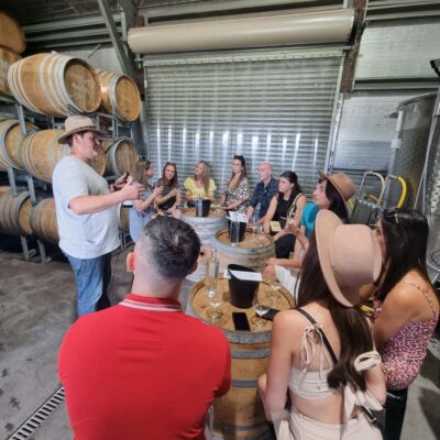 From Sydney: Hunter Valley Wine, Gin & Food Tastings Tour - The Sydney-to-Valley Drive: Timing, Stops, and Energy Management