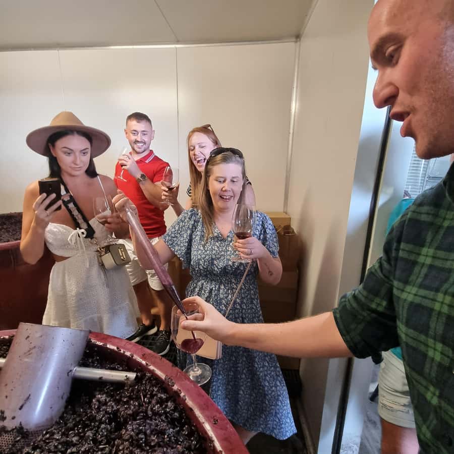 From Sydney: Hunter Valley Wine, Gin & Food Tastings Tour - Chocolate and Dessert Pairing: The Sweet Finale That Still Makes Sense