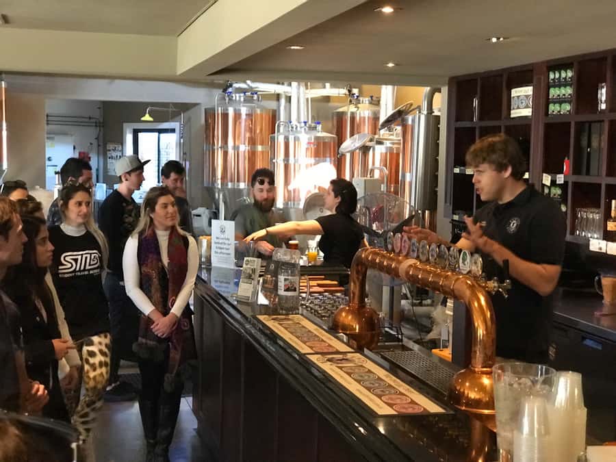 From Sydney: Hunter Valley Wine Tasting & Winery Picnic Tour - Guides and small-group energy: why language matters here