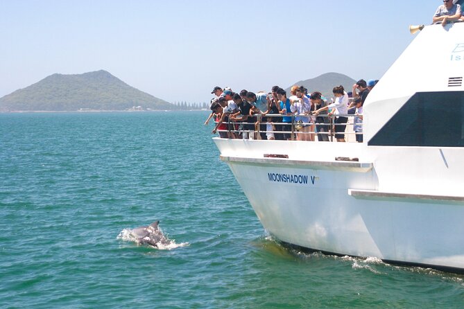 From Sydney: Port Stephens Dolphin, Koalas, Lunch & Sandboarding - Key things that make this tour worth your time