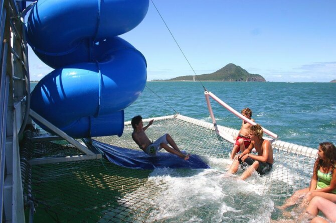 From Sydney: Port Stephens Dolphin, Koalas, Lunch & Sandboarding - Koala Sanctuary: rehab work you can see up close