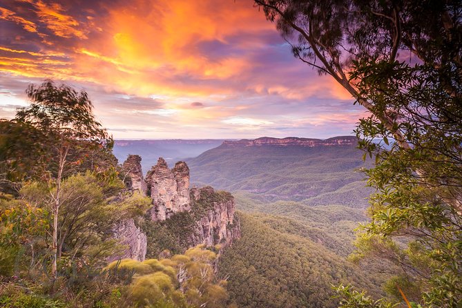 Fully Inclusive Blue Mountains Private Tour inc Scenic World & Featherdale Entry - Key highlights worth booking for
