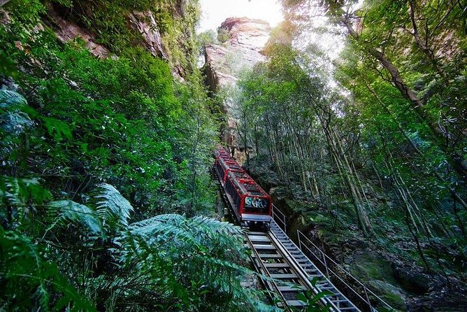 Fully Inclusive Blue Mountains Private Tour inc Scenic World & Featherdale Entry - Three Sisters and Echo Point: the classic photo moment
