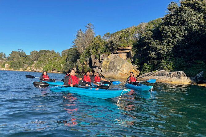 Guided Kayak Tour of Manly Cove Beaches - Key things to know before you paddle